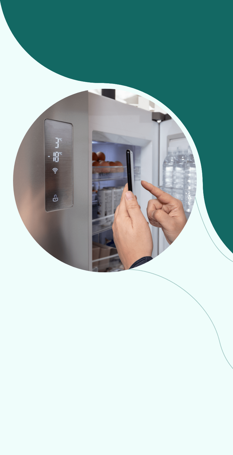 <b>IoT SOLUTIONS AND SERVICES</b>
