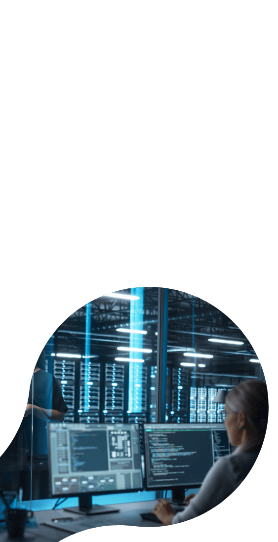 <b>DIGITAL INFRASTRUCTURE SERVICES</b>