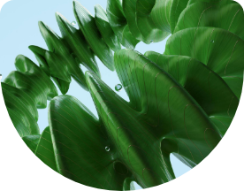 サステナビリティを<br>推進する